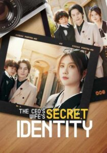The CEO Wife’s Secret Identity