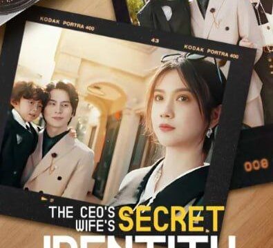 The CEO Wife’s Secret Identity